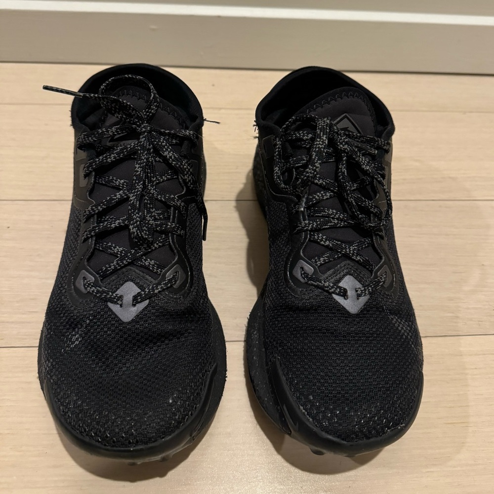 Nike PegasusTrail 2 Gore Tex shoes